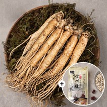 무세척 삼계용삼(소)200g+200g+삼계탕 국물재료 100g 백숙재료 삼복 초복 중복 말복 보양식, 2729_무세척삼계삼(소)200gx2+국물재료