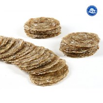 장수왕 대왕쥐포 1kg (20장내외) 3L사이즈 간식 중부시장도매, 1봉
