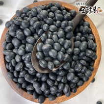 힘찬농부오달봉 2022년 국산 속청 검은콩 서리태, 1포, 국산 속청 500g