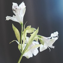 퓨어 릴리 플라워 프래그런스오일, 500ml, 1개