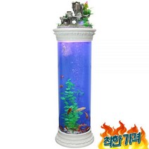 원통 어항 관상용 물고기 키우기 유럽식, B