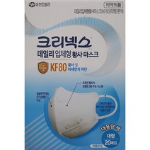 유한킴벌리 크리넥스 데일리 입체형 황사마스크 KF80 대형 흰색, 1개