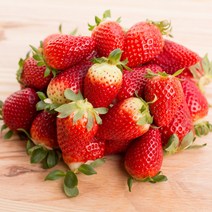 [산지직송] 고당도 논산 겨울 딸기 설향딸기 생딸기 킹스베리 500g 700g, 01. 설향딸기 700g x 2팩