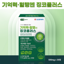 기억력 혈행엔 징코플러스 500mgx30정 (코오롱제약 은행잎 기억력감퇴 부모님영양제), 기억력·혈행엔 징코플러스 500mgx30정