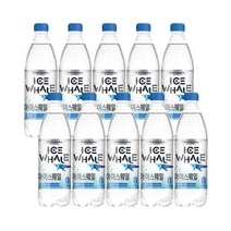 광동아이스웨일500mlX10펫(플레인), 광동아이스웨일500mlX10펫(플레