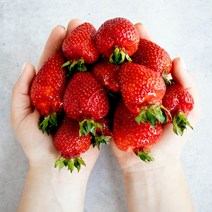 고령 최상급 프리미엄 설향 딸기 (당도보장) 800g 900g, 2팩(1.8kg 내외) (48구~60구)