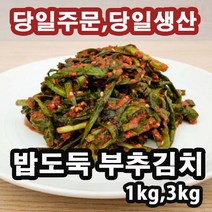 당일주문 당일생산 밥한공기 뚝딱 밥도둑 부추김치 1kg 고급 반찬 부추김치 정구지김치 입맛없을때 어르신 주부 기본반찬 맛깔나는 부추김치, 부추김치3kg