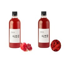 식초애 전통 천연 자연 발효식초 오미자 석류 비니거 과일 식초효능, 오미자 비니거 500ml