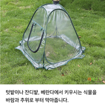 미니 비닐 하우스 다육이겨울나기 햇빛아래식물등 농막 비닐하우스자재 폐기 와송키우기 아크릴온실 루프탑 길냥이급식소 길고양이급식소 미니비닐하우스 길고양이집 미니온실 미니온실만들기