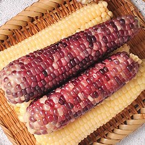 [산지발송]김동식님의 삶은 냉동 흑찰옥수수 6/9/15/30 개입, 06번 흑찰옥수수 12개입(4개씩, 13~15cm)