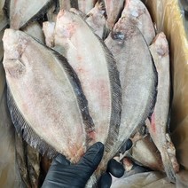 국산 반건조 물가자미 기름가자미 중 10미, 반건조 물가자미 대 10마리(25cm~30cm)