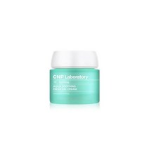 아쿠아 수딩 프레쉬 젤 크림 80ml - 추천, 아쿠아 수딩 프레쉬 젤 크림 80ml - AJ