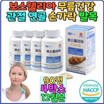 보스웰리아 60대 50대 추출물분말 HACCP 아연 망간 상어연골 해조칼슘 피쉬콜라겐 초록입홍합 boswellia 인도보스웰리아 홈쇼핑 무릎 무릎관절 무릎연골 뼈건강 영양제 선물