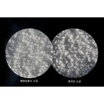 해양심층수 금강산 청정소금 미네랄풍부 미세플라스틱/중금속 0% 천연소금 1Kg, 1개