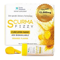 Evolu Research 나노커큐민 20정 Nano Curcumin