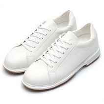 캐주얼슈즈 남성 골프화 데일리슈즈 스니커즈 신발 패션신발