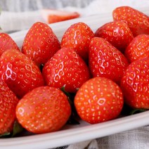 [산지직송] 달콤한 산청 딸기 1kg(특품500g+상품500g), 단품