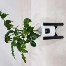 베스트플랜트 녹보수 소품 스탠드형, 1개
