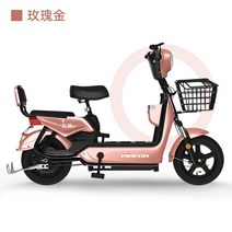 2인승 전기자전거 48V 20ah 자녀통학 장보기 나들이, 로즈골드