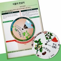 DIY 식물 관찰 한살이 보고서 키트 5인 병원 돌봄 창의 교재 실습 학습 실험 수업 원리 의학