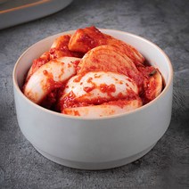 [땅끝홈밀]HACCP 해남직배송 양파김치 1kg, 단품