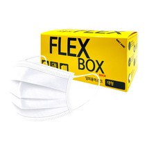 플렉스 박스 일회용 마스크 화이트 대형 3중구조, 50매, 2매