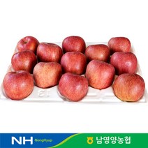 경북 영양농협 사과 꿀부사 정상품 5kg 23-28과, 단품