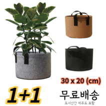 배란다 미니화분 대파키우기 (30 * 20cn), 블랙, 브라운