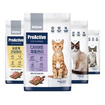 이즈칸캣 프로액티브 어덜트 다이어트 요로계 키튼 1.2kg 고양이사료, 1kgx 2