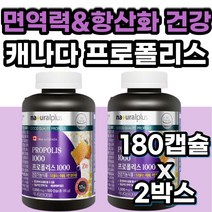 고용량 프로폴리스아연 플라보노이드 항산화제영양제 캐나다 산 프로 포로 포리 폴리스 풀리스 포리스 입 속 냄새 구강 항균 향균 영양제 목에좋은 목건강아연 식약청 식약처 인증 인정