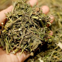 비수리 국내산야관문 국내산 말린, 덖은야관문 300g, 1개