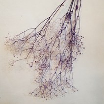 밍블랑 셀프인테리어 디퓨저재료 모음 DIY 디퓨저 공병 섬유스틱 리필오일 디퓨저스틱, 1개, 투톤 미니안개꽃(퍼플)