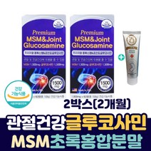 무릎 허리 어깨 통증 글루코사민 엠에스엠 초록입홍합 고관절 무릅 구부릴때 통증 소리 손가락 손목 팔목 발목 테니스 엘보 50 60 70 80 대 노인 실버 시니어 부모님 영양제