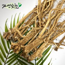 국산 토종 제천 황기 3년근 차 효능 황기즙, 3년근 황기(절) 300g (수제절단작업)