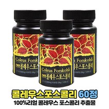 콜레우스 포스콜리 추출물 분말 가루 정 알약 타입 100% 코레우스 콜레우스포스 콜리우스포스콜린, 60정 x 3통