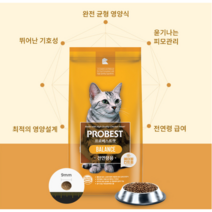 프로베스트 캣 밸런스 건사료 전연령 고양이 사료 2kg (묶음구매시 할인), 프로베스트캣 밸런스 x 5