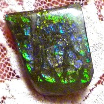 천연원석 AMMOLITE 암몰라이트 생물원석 17Ct1 +보증서
