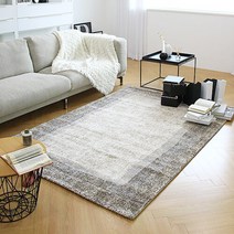 모던클래식 아슬란터키산 디자인 카페트 160x230 - 2color, 타입2