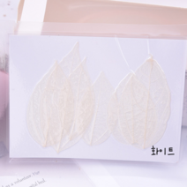 [드그라쎄] 캔들만들기 DIY재료, 29.프리저브드 스켈레톤 (화이트)