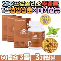 구아바잎 추출 홍상 블루베리 농축액 분말 프로폴리스 비타민A 해조류 유래 카라기난 제조 식물성 연질 캡슐 농축액 자일리톨 안토시안 구강향균 작용 허브 박하향