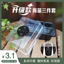 투명슬릿분 대파키우기 토분난로 다육이겨울나기, 스페이드 3종 세트