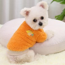 애완동물 장난감 목줄 개 고양이 작은 개를 위한 애완견 옷 코트를 강아지 복장 후드 치와와 애완 동물, [04] Orange, [05] XL for 4-5kg