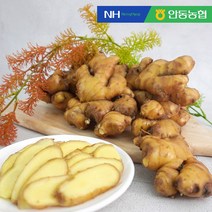 [더조은푸드] 안동농협 씻어나온 세척 생강 1kg, 세척생강 1kg
