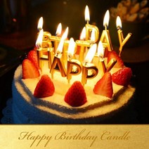 해피벌스데이 초 (금색) 해피벌스초 생일양초 생일초 예쁜생일초 생일축하초, 본상품