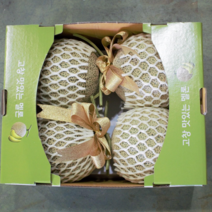 (승우아빠 출연) 10/4발송 고당도 고창 머스크 멜론 5kg 8kg 선물포장, 5kg(2수)