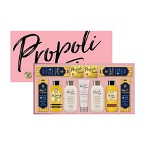 23년 설 선물세트 LG 프로폴리테라 39호 B1 X 1개