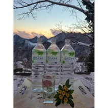 청정지역 울릉도 산천초목의 우산고로쇠, 6병