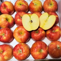 가정용 부사 빨간사과 4kg 정말 맛있는 사과 농원직송, 1박스, 4kg(사과/26-29과)