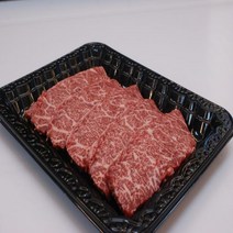 대끼리한우 1+등급 한우 600g 한우특수부위 한우안심 한우등심 한우채끝 한우부채 한우치마살, 한우 치마 600g