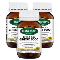 톰슨 호주 Thompsons Ginkgo 원어데이 징코 6000mg 60캡슐, 3팩